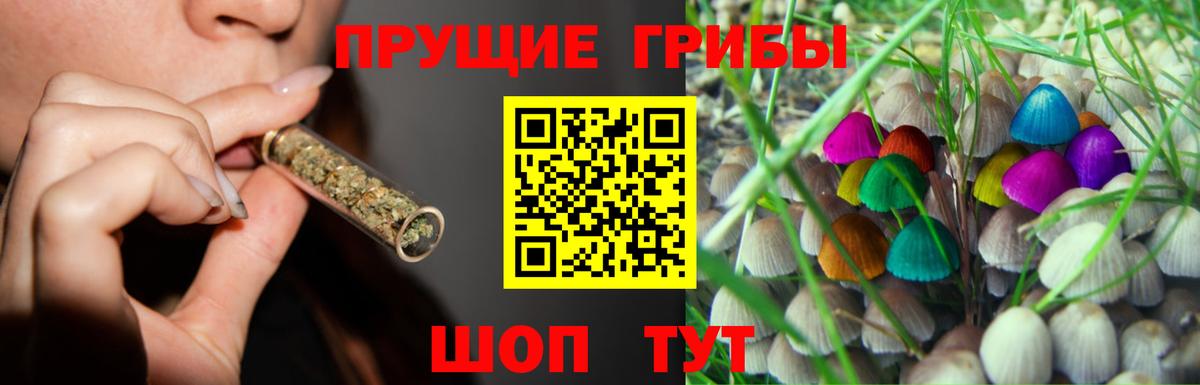 Прокопьевск  Псилоцибиновые грибы Psilocybe  Вход с VPN 