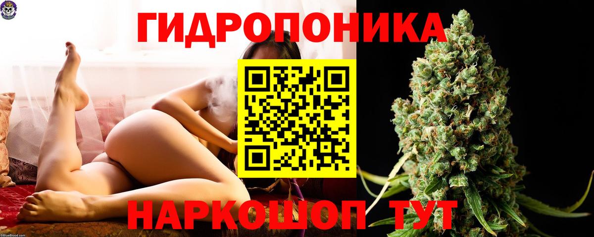 Бошки марихуана VHQ Прокопьевск
